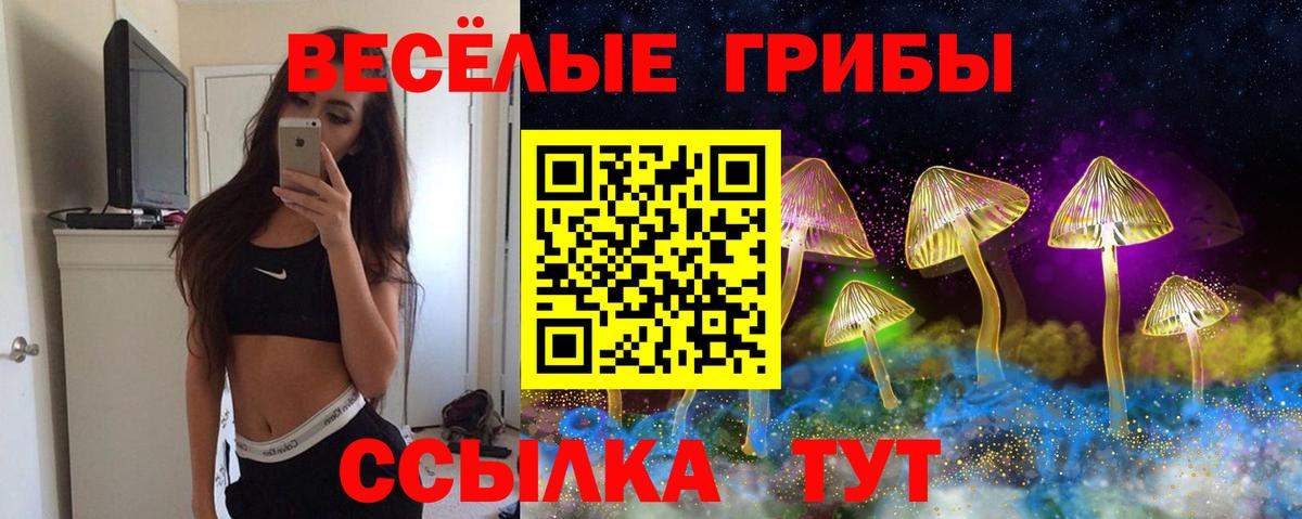 Галлюциногенные грибы MAGIC MUSHROOMS  сколько стоит  Будённовск  Вход с VPN 