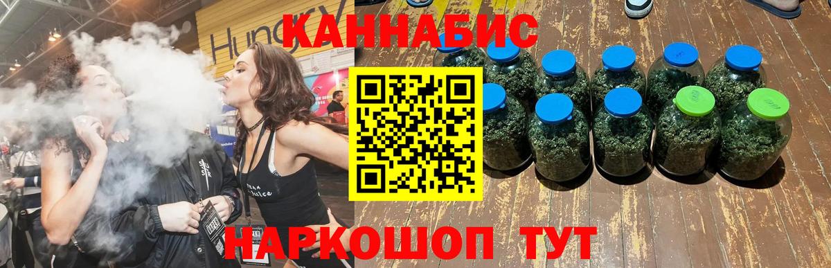 Конопля гибрид Будённовск